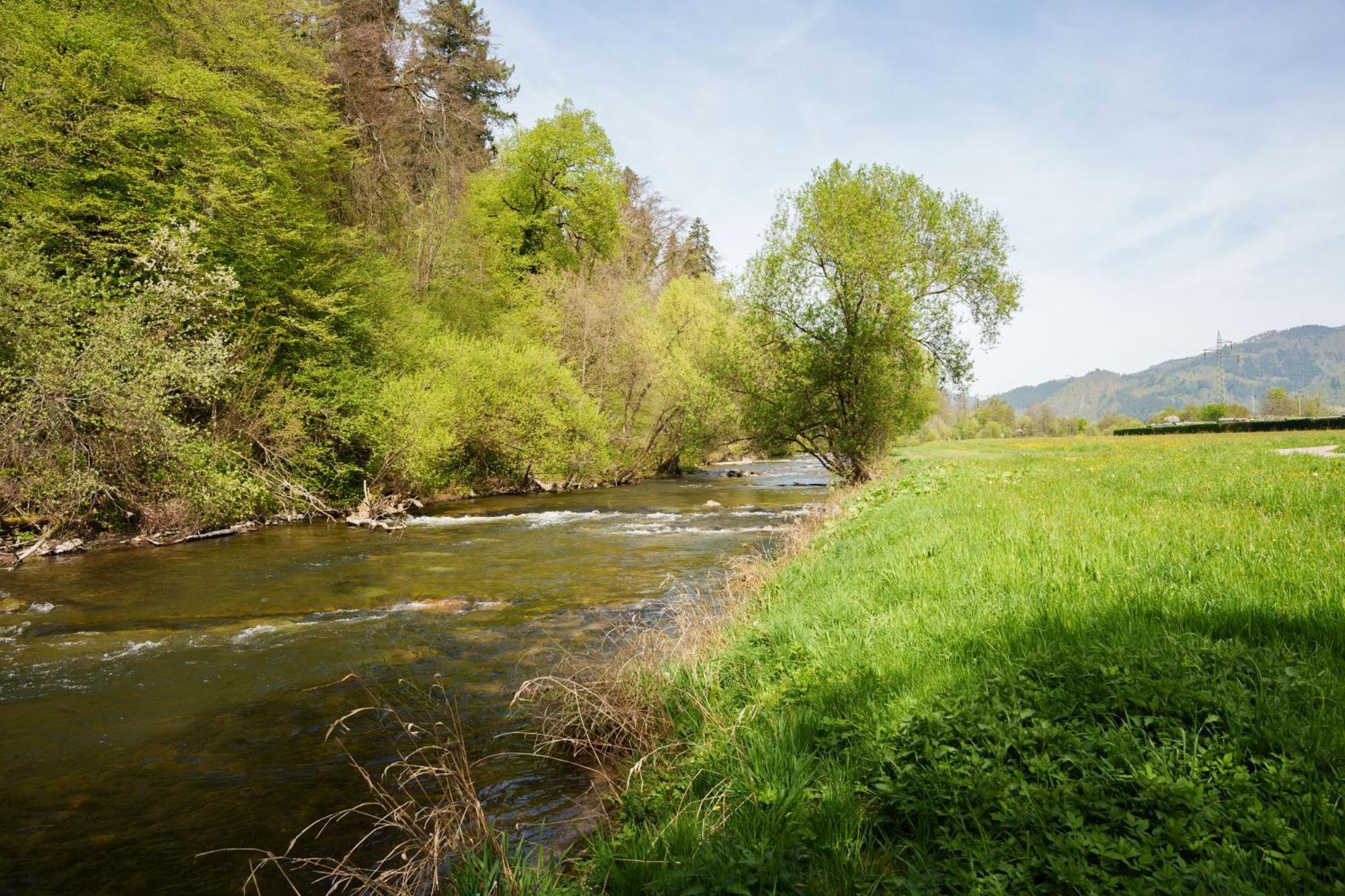 Ferienwohnung Alte Scheune Schopfheim Exteriér fotografie